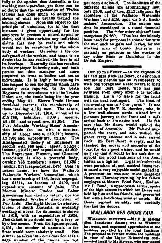 1313-Bertie Beare-image3png