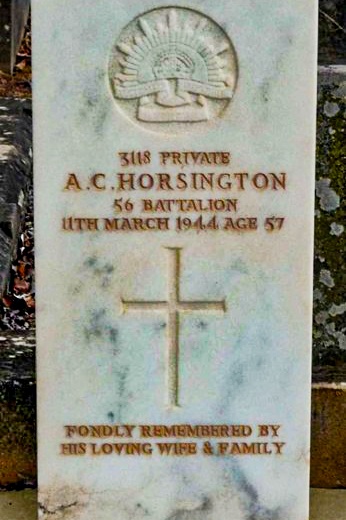 3118-private-alfred-clive-horsington-image1png