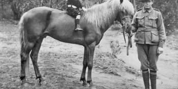 ABC Article on the search for Throsby Yabesly